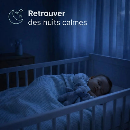 Nébuliseur Portable